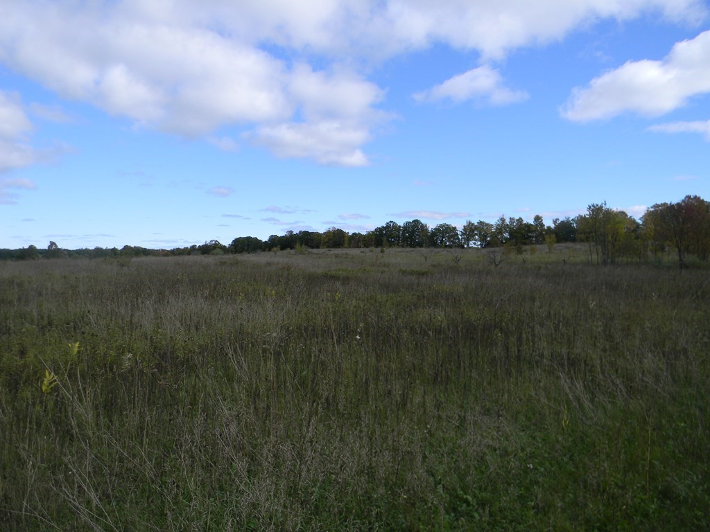 Lot 3 Isle View Road Ellison Bay, WI 54210 - Photo 3 of 4