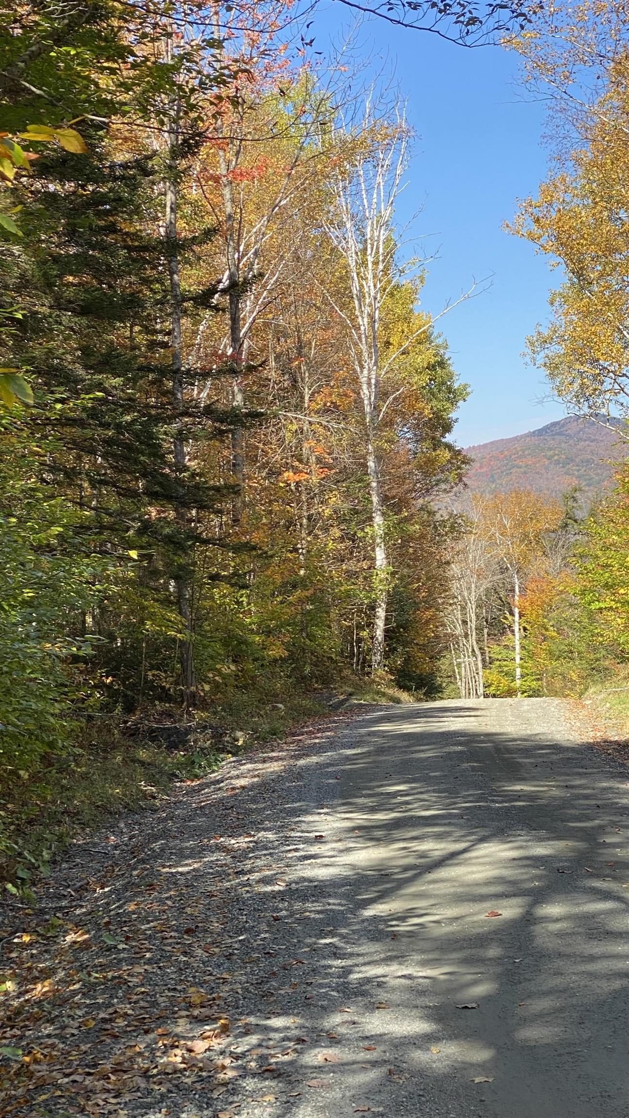 0 Curtis Hollow Road, Unit 3 Woodstock, VT 05091 - Photo 15 of 26 Gallery Image 15
