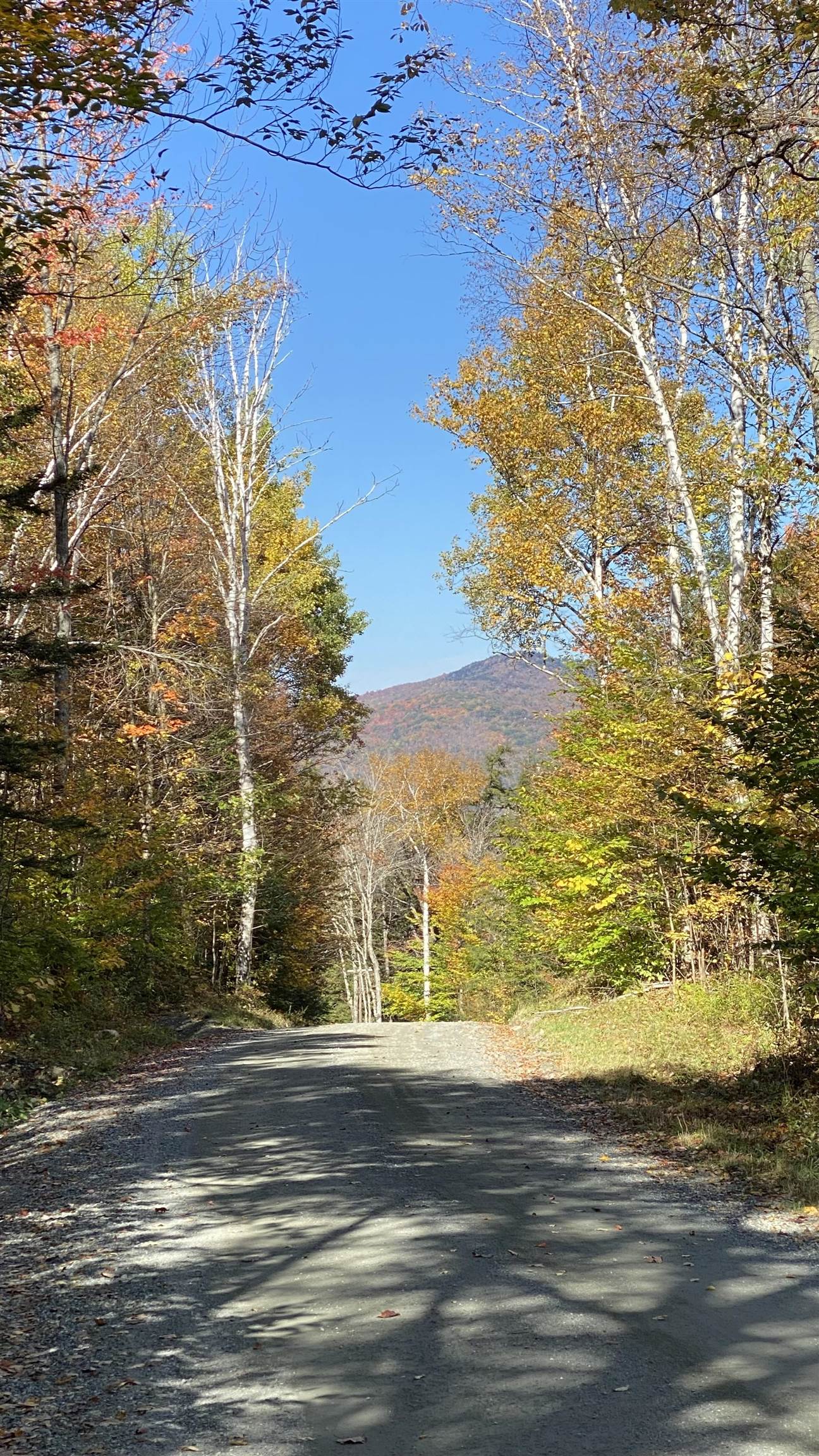 0 Curtis Hollow Road, Unit 3 Woodstock, VT 05091 - Photo 17 of 26 Gallery Image 17