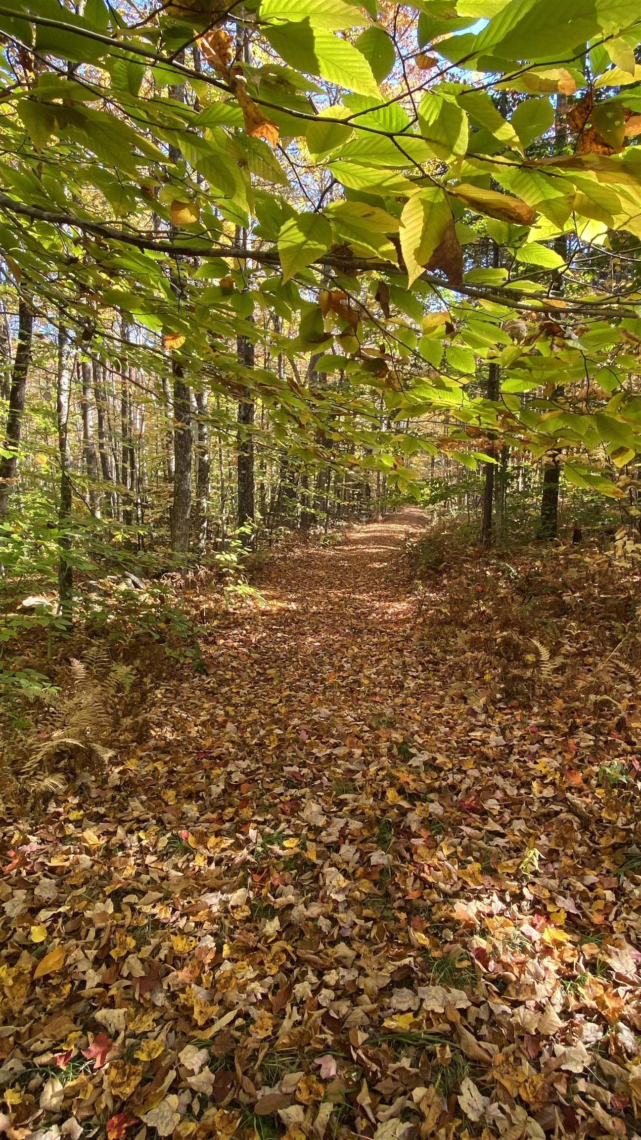 0 Curtis Hollow Road, Unit 3 Woodstock, VT 05091 - Photo 20 of 26 Gallery Image 20