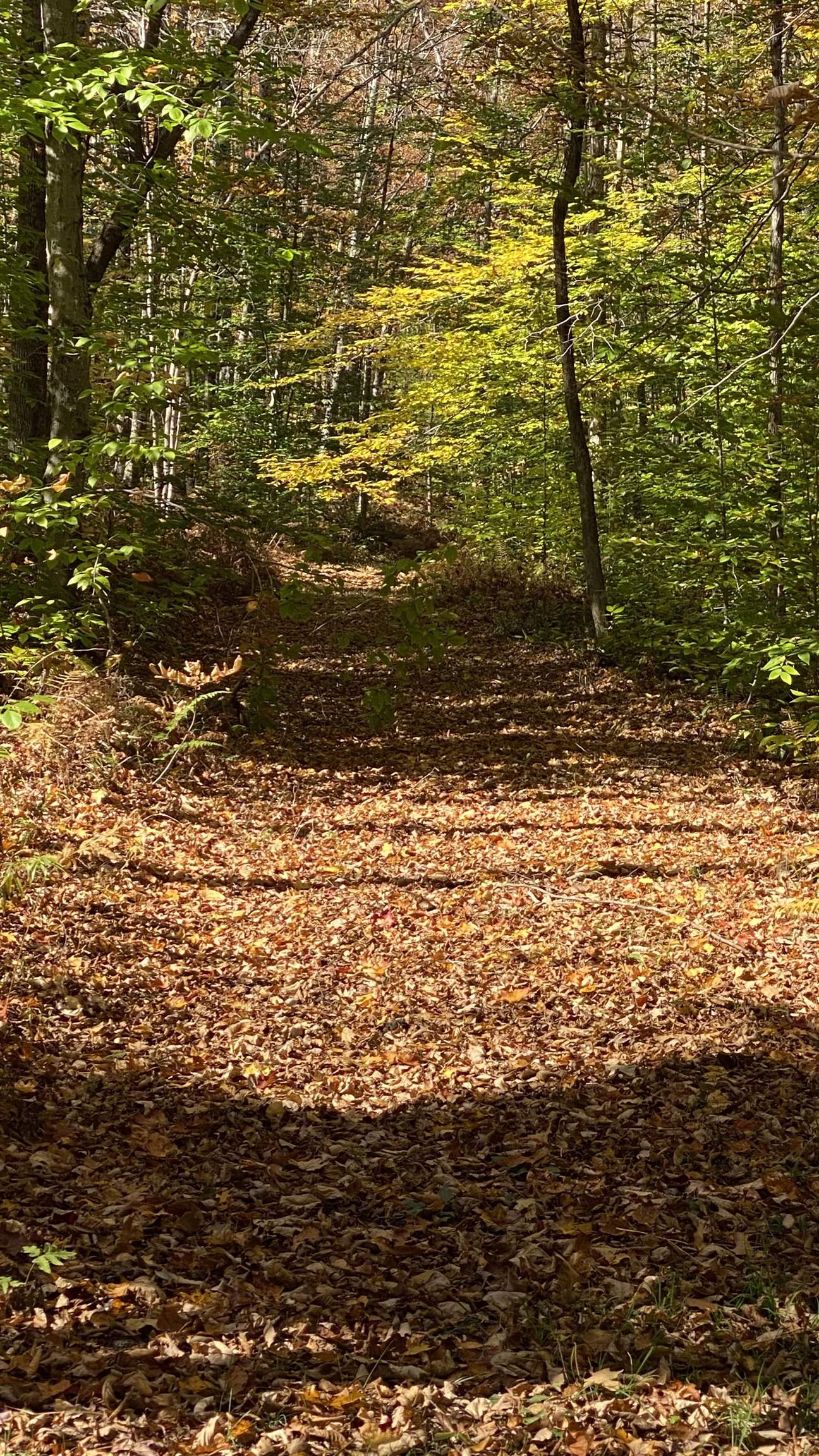 0 Curtis Hollow Road, Unit 3 Woodstock, VT 05091 - Photo 23 of 26 Gallery Image 23