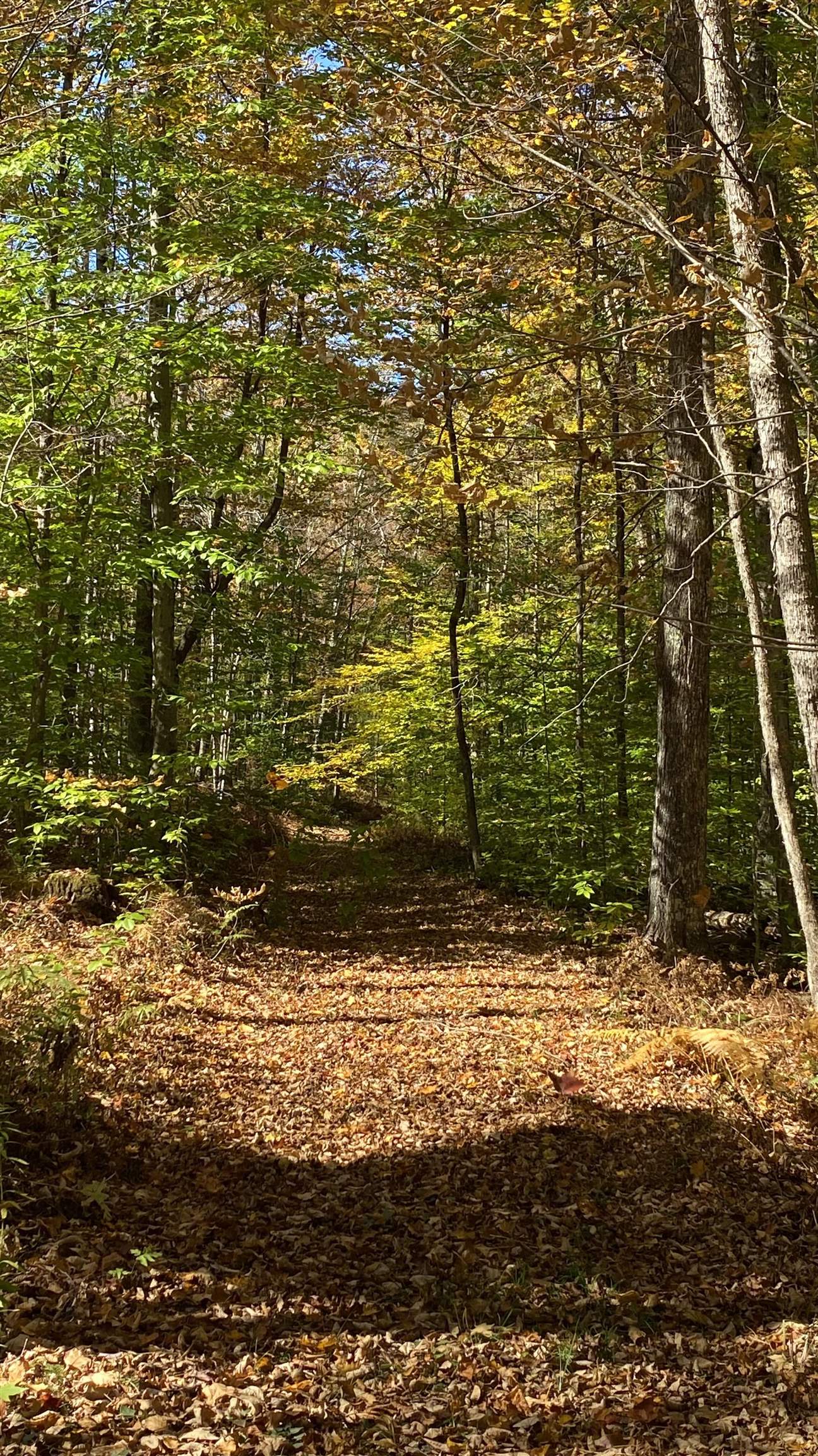 0 Curtis Hollow Road, Unit 3 Woodstock, VT 05091 - Photo 24 of 26 Gallery Image 24