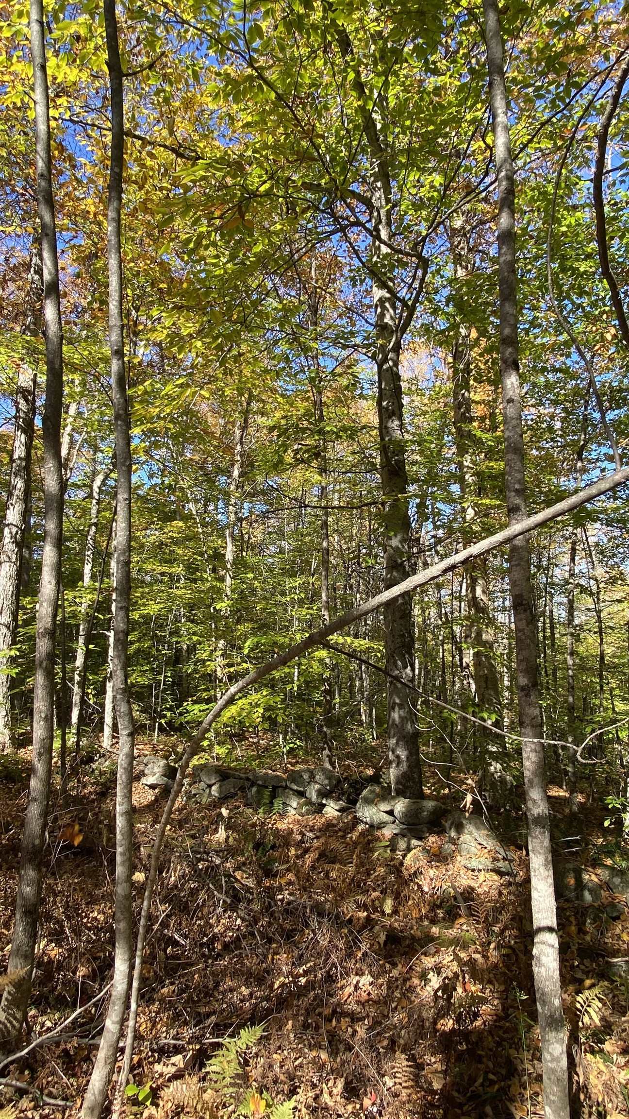 0 Curtis Hollow Road, Unit 3 Woodstock, VT 05091 - Photo 25 of 26 Gallery Image 25