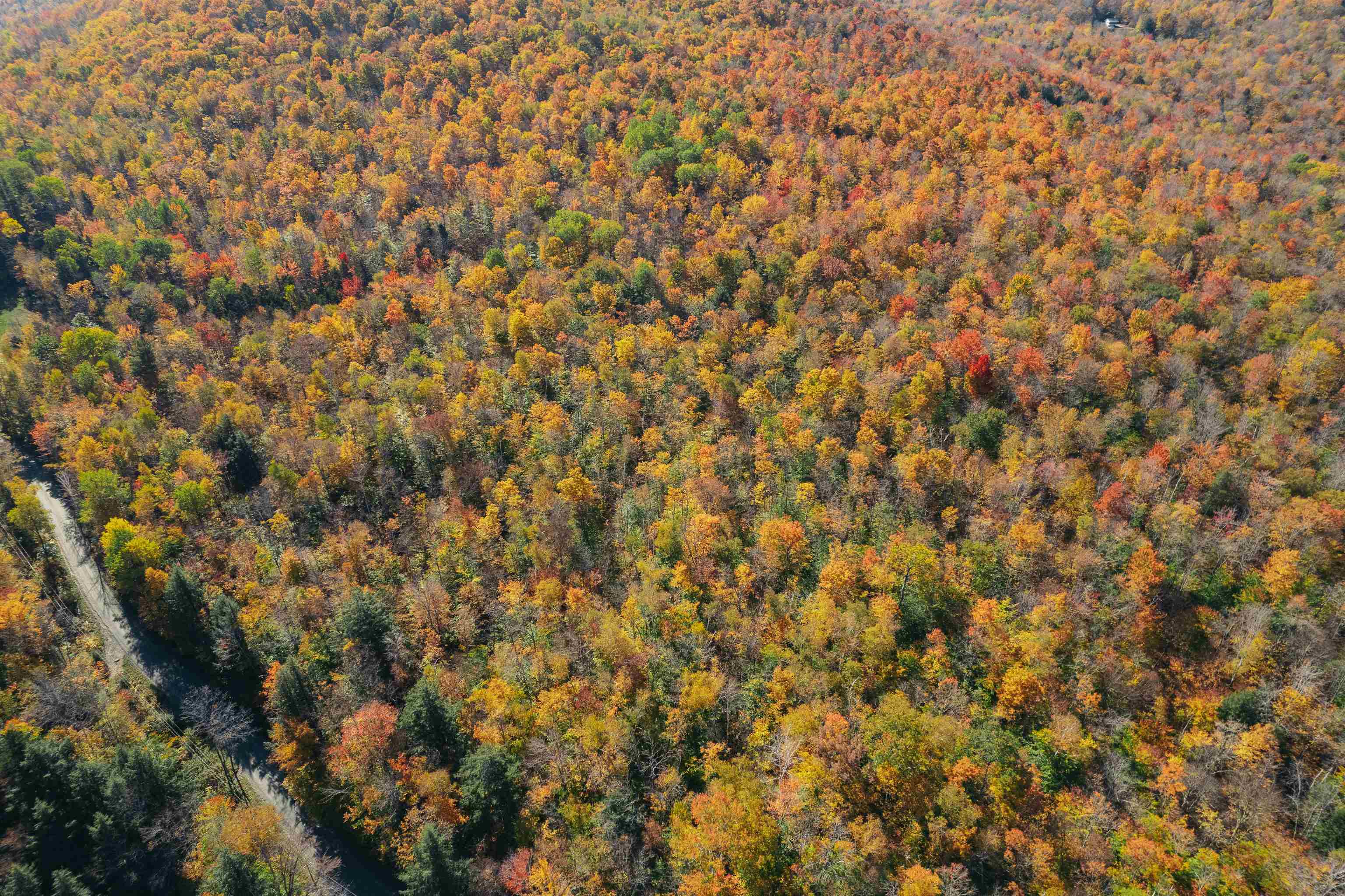 0 Curtis Hollow Road, Unit 3 Woodstock, VT 05091 - Photo 5 of 26 Gallery Image 5