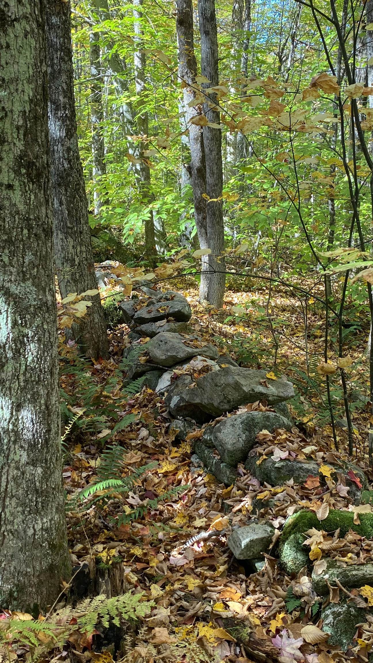 0 Curtis Hollow Road, Unit 3 Woodstock, VT 05091 - Photo 7 of 26 Gallery Image 7