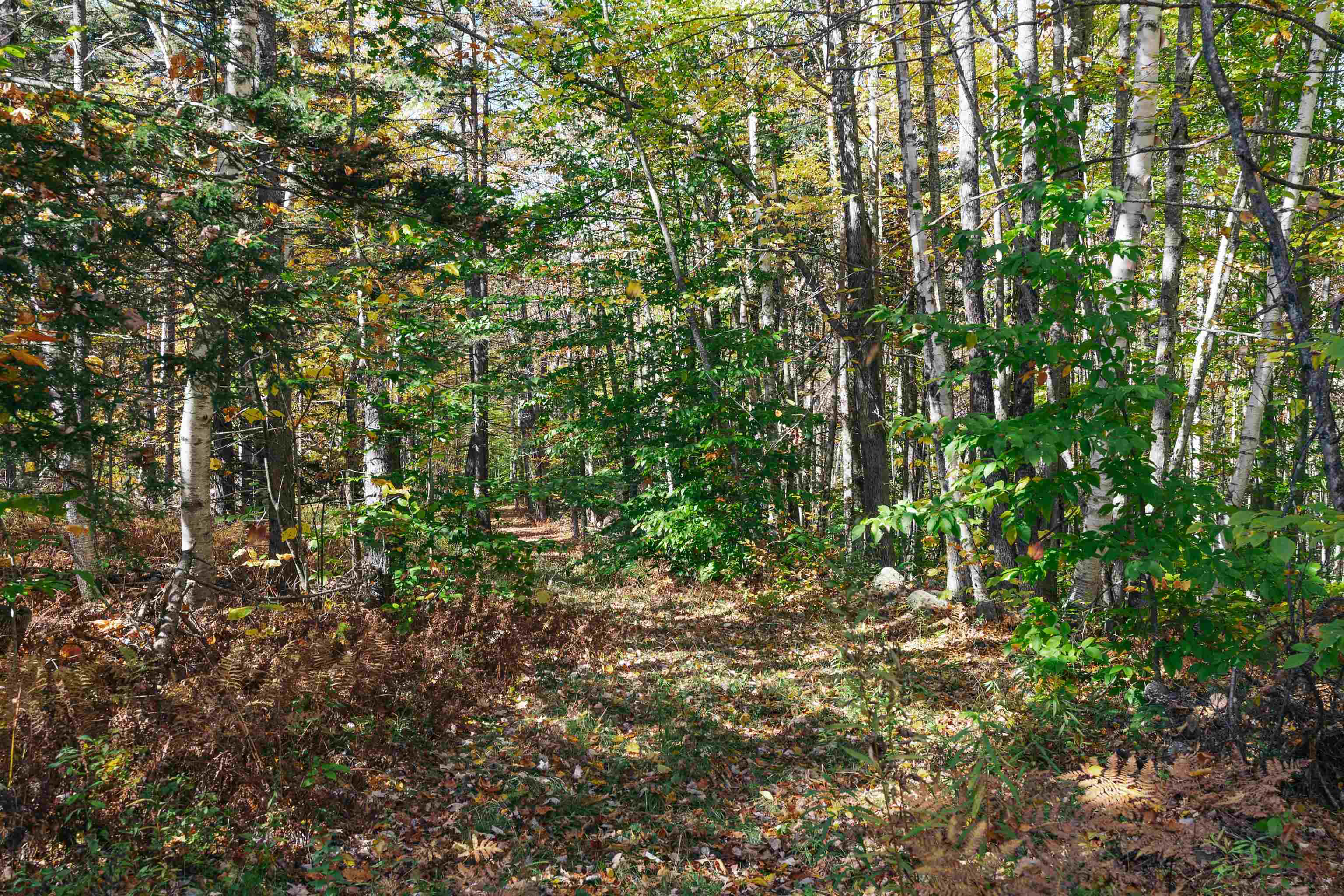 0 Curtis Hollow Road, Unit 3 Woodstock, VT 05091 - Photo 10 of 26 Gallery Image 10