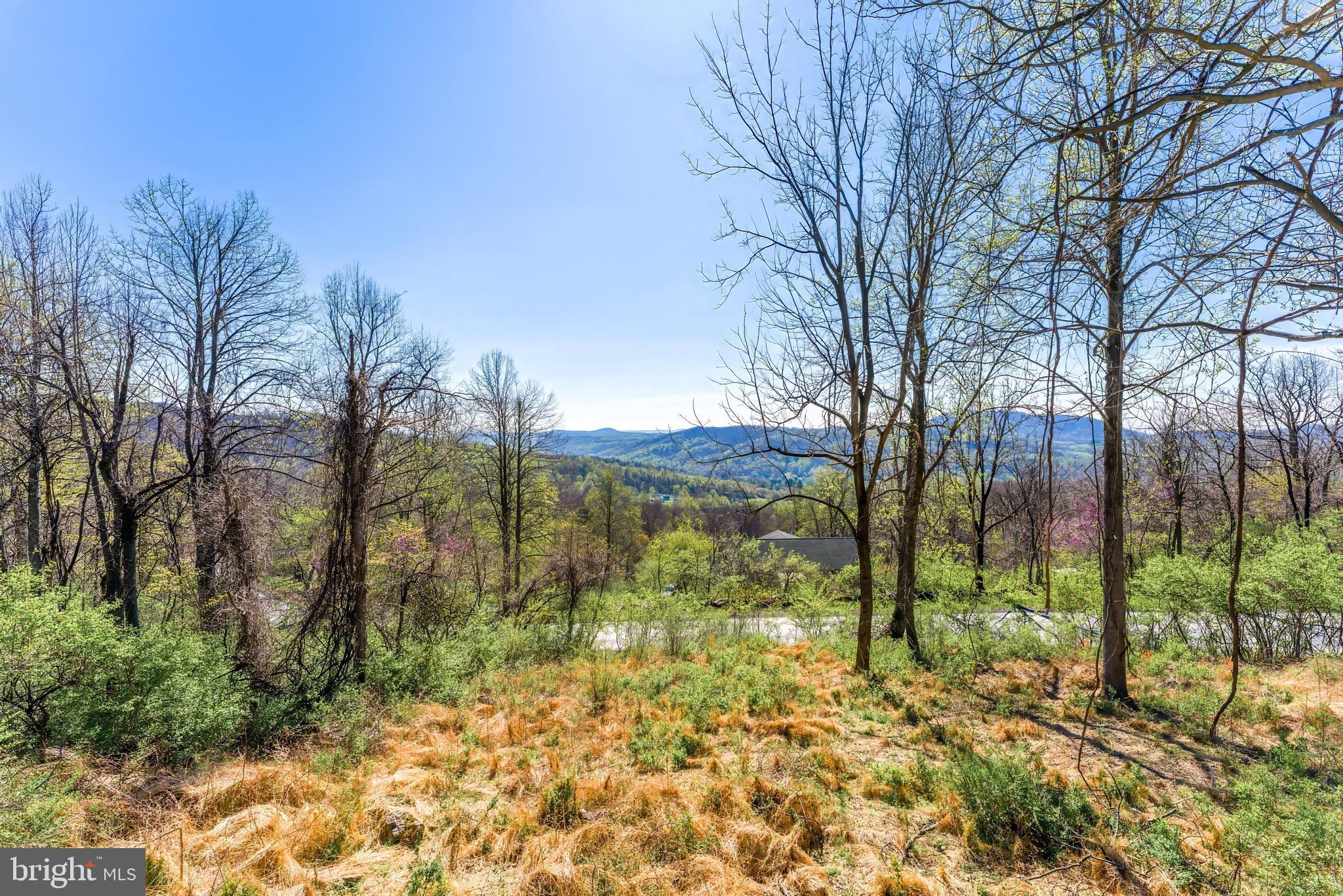 70 Arrowood Road Linden, VA 22642 - Photo 30 of 30