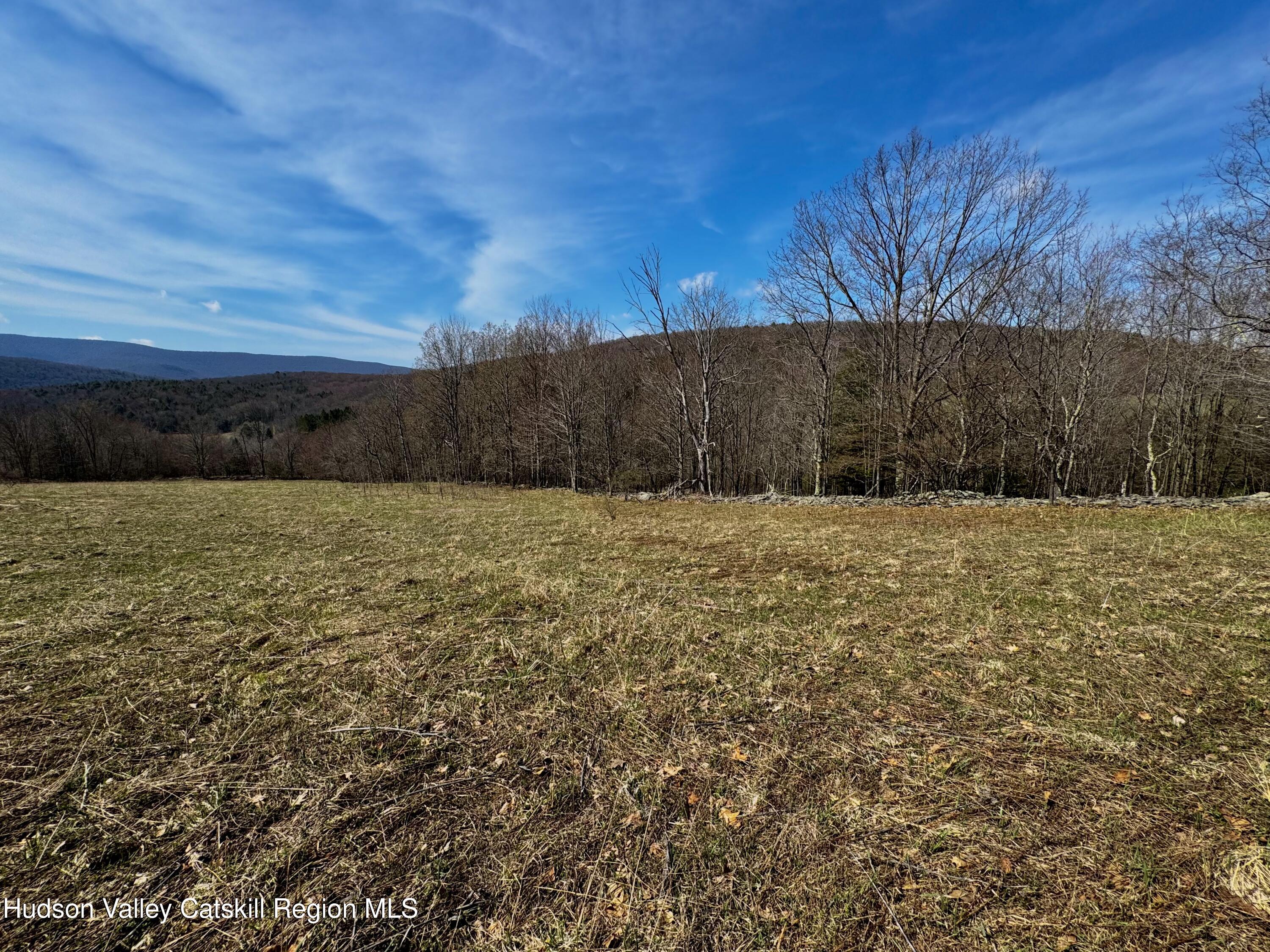 Tbd Hogg Mountain Road Fleischmanns, NY 12430 - Photo 15 of 22 #15
