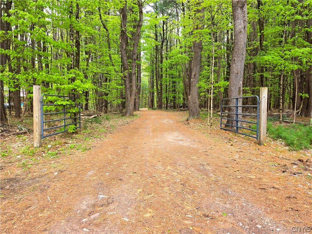 621 Tynan Road Vienna, NY 13042 - Photo 7 of 42