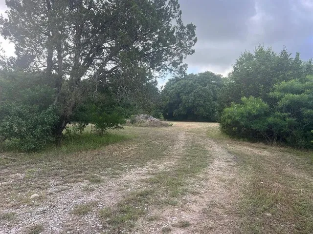 a view of a yard with a tree