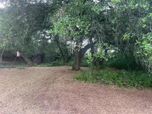 a view of a small house
