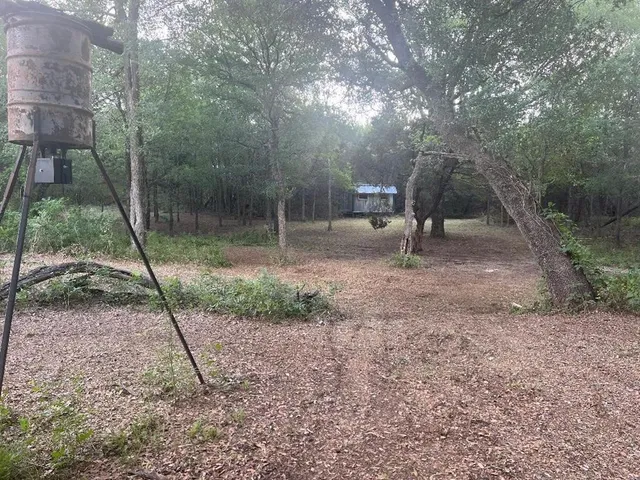 a backyard of a house with lots of green space