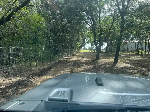 a view of dirt yard with a trees