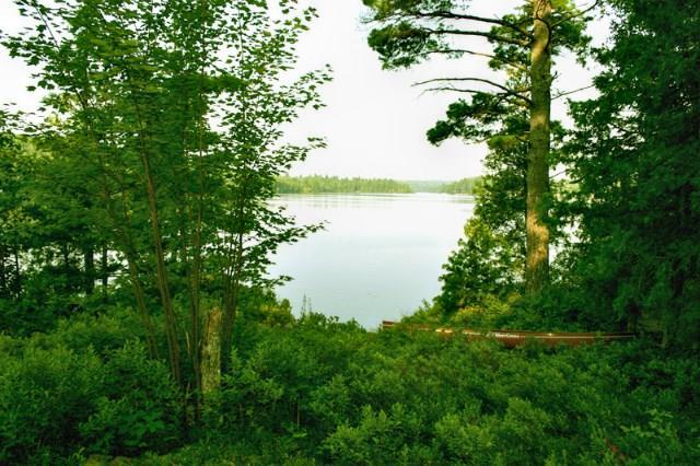 1 Staples Road Baileyville, ME 04694 - Photo 3 of 11 View From Porch