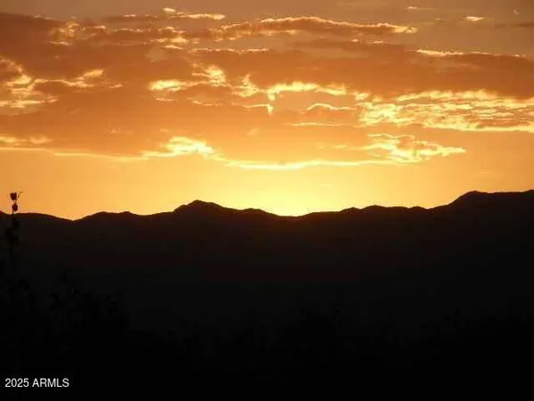 a picture of flowers