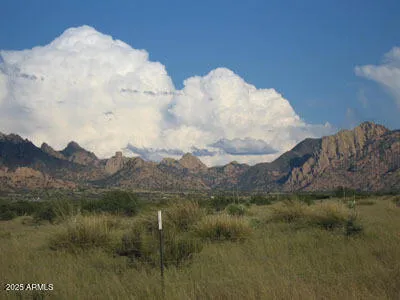 $75,000 | 0 East Cougar Trail, Unit 96, St. David, AZ 85630