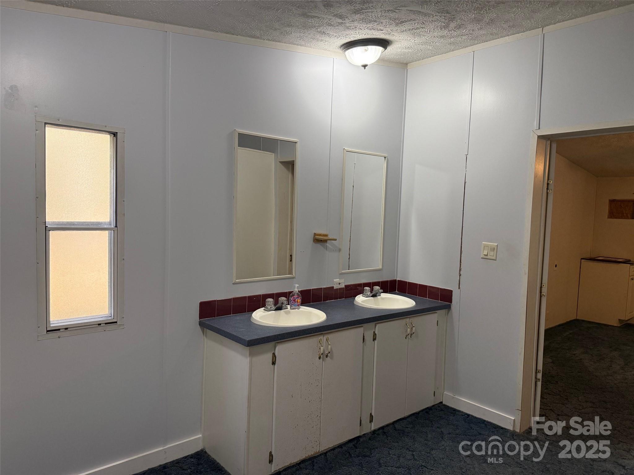 7159 Rev Melvin Adams Road Kershaw, SC 29067 - Photo 24 of 28 a bathroom with a sink and a mirror