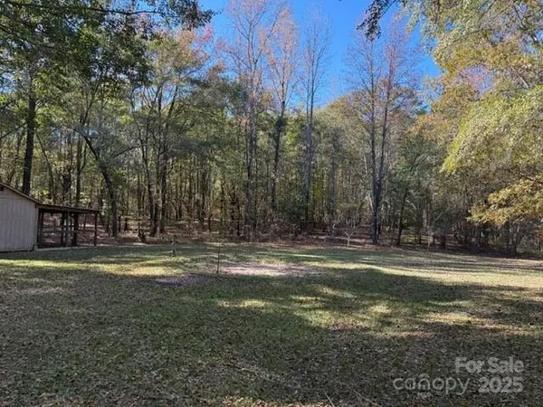 a view of a yard with large trees
