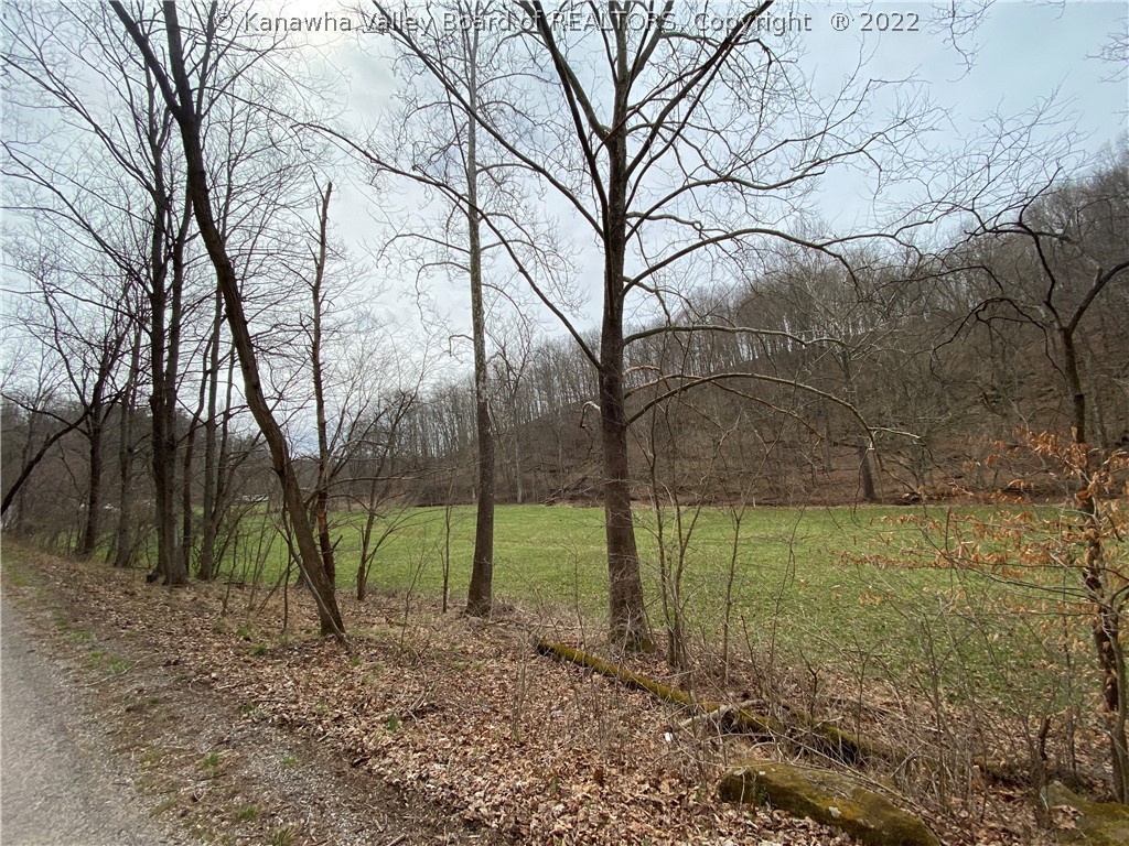 709 County Road 21/20 Ripley, WV 25271 - Photo 20 of 50 Gallery Image 20