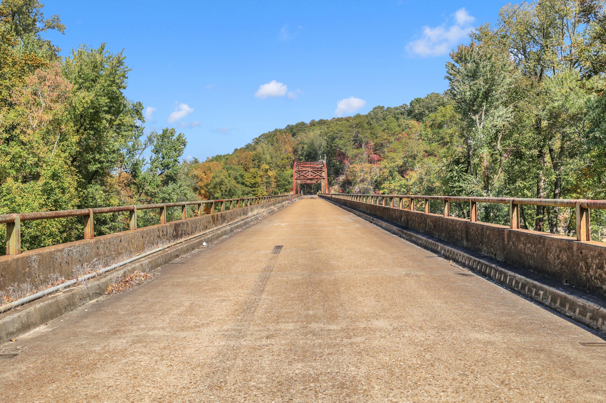 305 Buzzard Cave Road Waverly, TN 37185 - Photo 62 of 67 Gallery Image 62