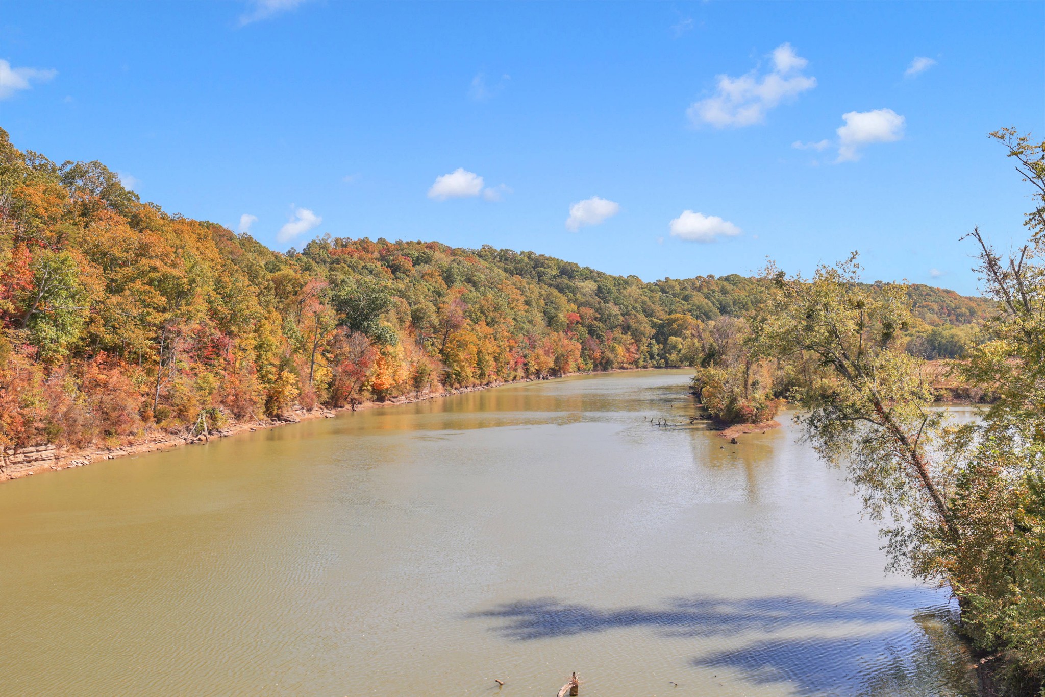305 Buzzard Cave Road Waverly, TN 37185 - Photo 65 of 67 Gallery Image 65