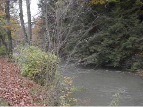 Box 1246 Randolph Road Great Bend, PA 18821 - Photo 4 of 5 Gallery Image 4