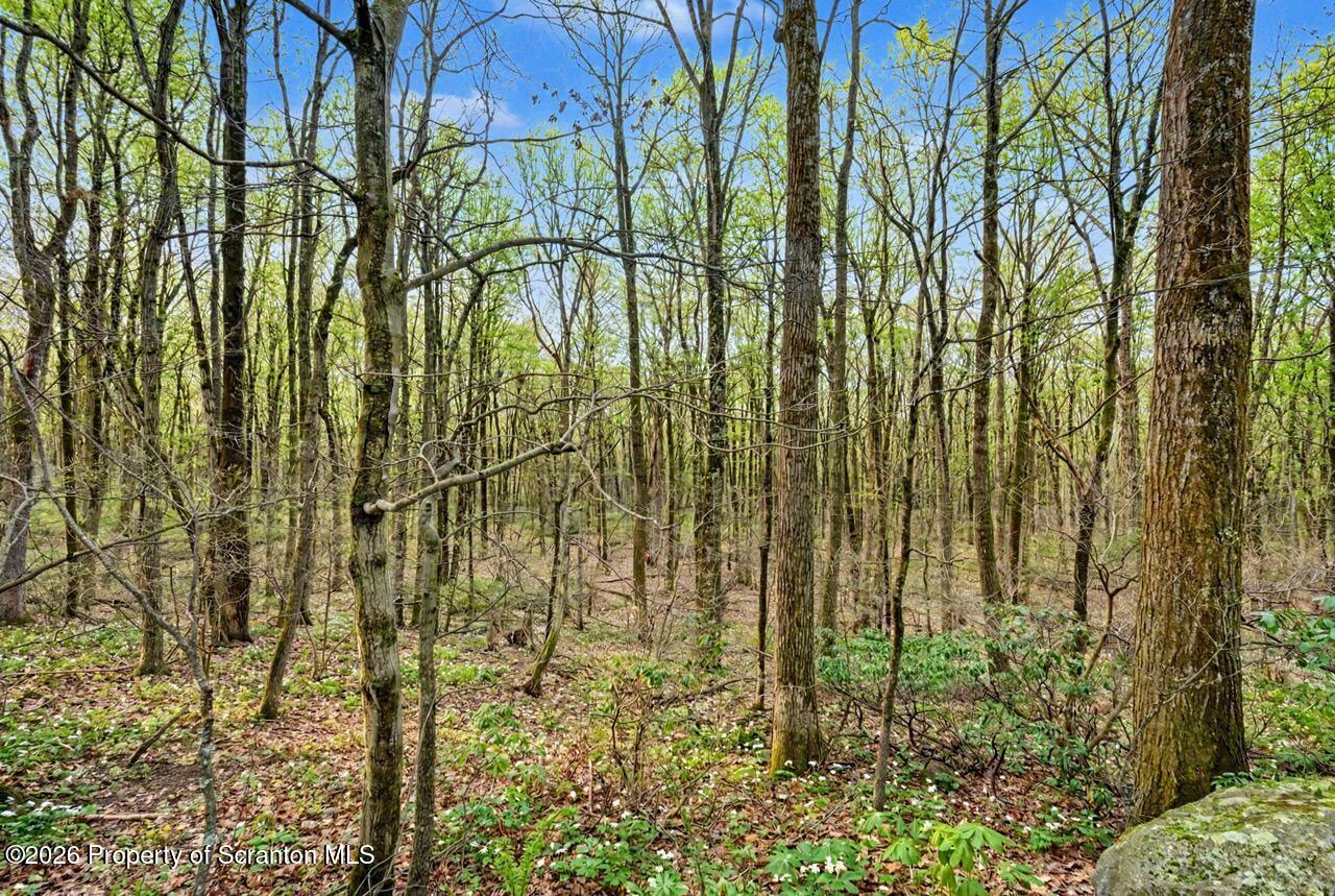 1240 Charles Road Lake Ariel, PA 18436 - Photo 69 of 74 1240 Charles Rd 70