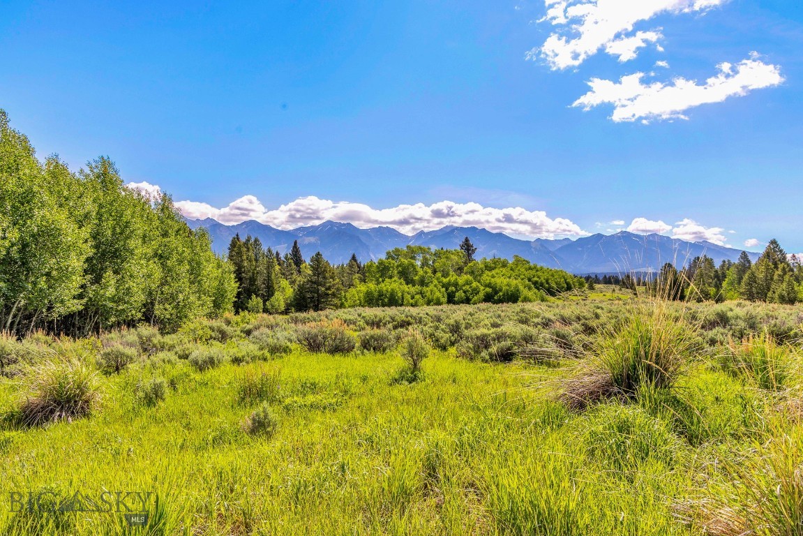 Lot 33 Elk Ridge Road Cameron, MT 59720 - Photo 4 of 75 Gallery Image 4