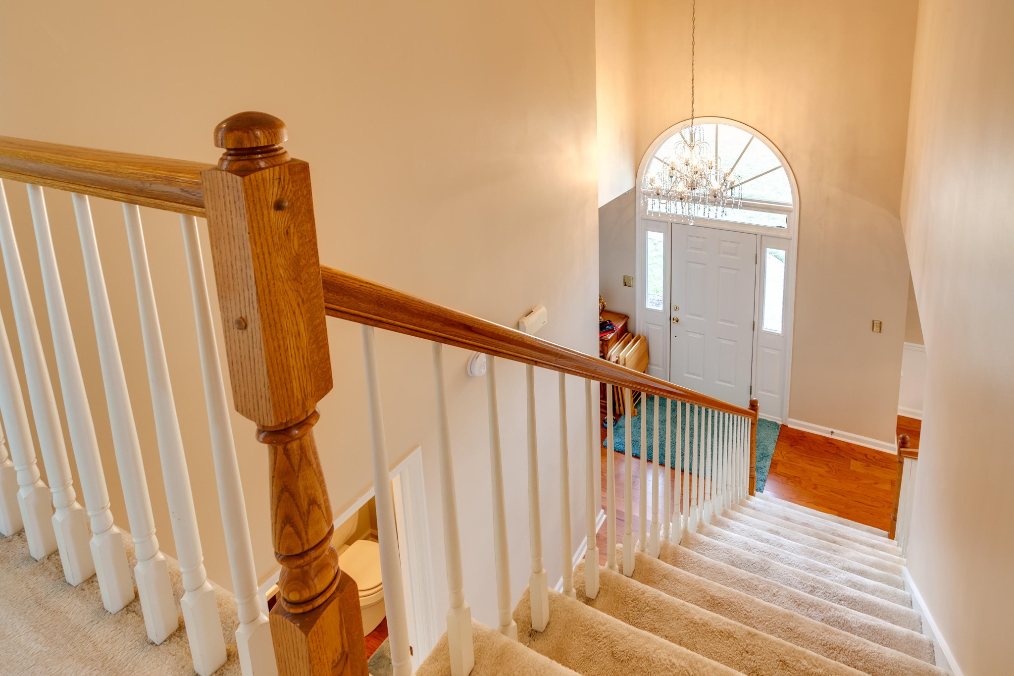 681 Tree Ridge Road Knoxville, TN 37922 - Photo 11 of 40 Gallery Image 11