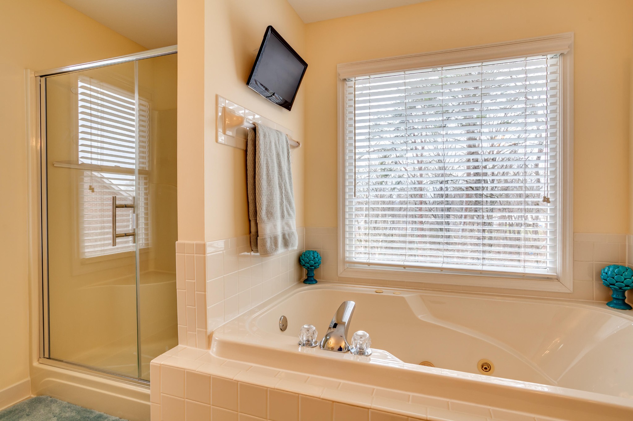 681 Tree Ridge Road Knoxville, TN 37922 - Photo 22 of 40 Gallery Image 22
