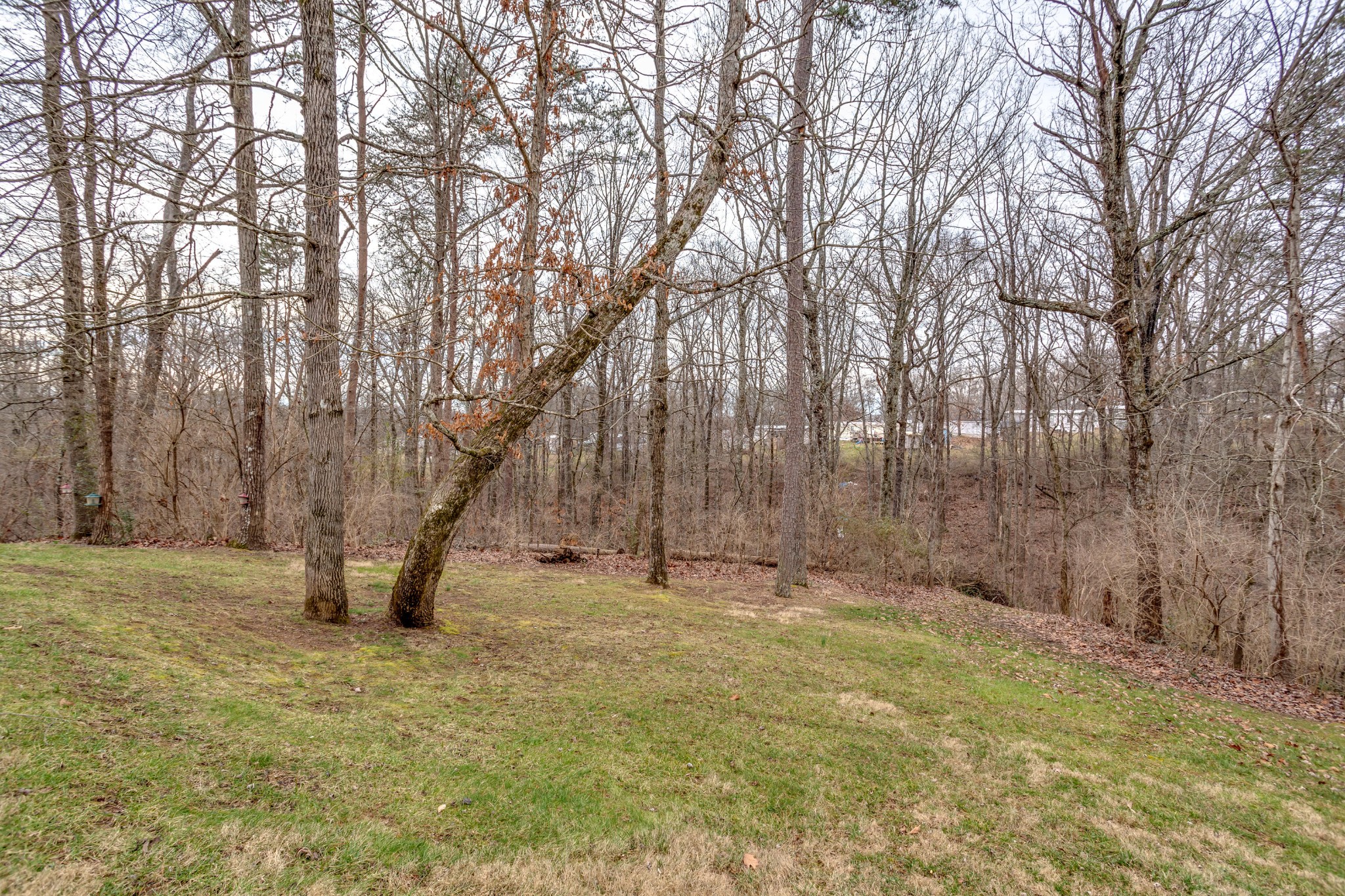 681 Tree Ridge Road Knoxville, TN 37922 - Photo 37 of 40 Gallery Image 37