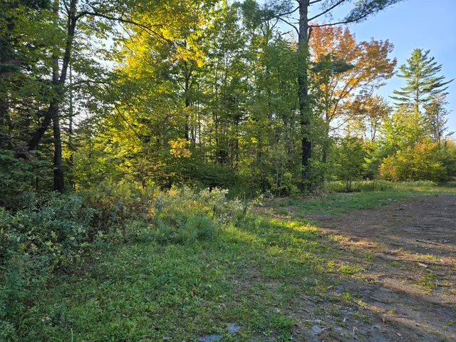 $220,000 | M2-l9-1 M2-l9-1 Solon Road, Athens, ME 04912