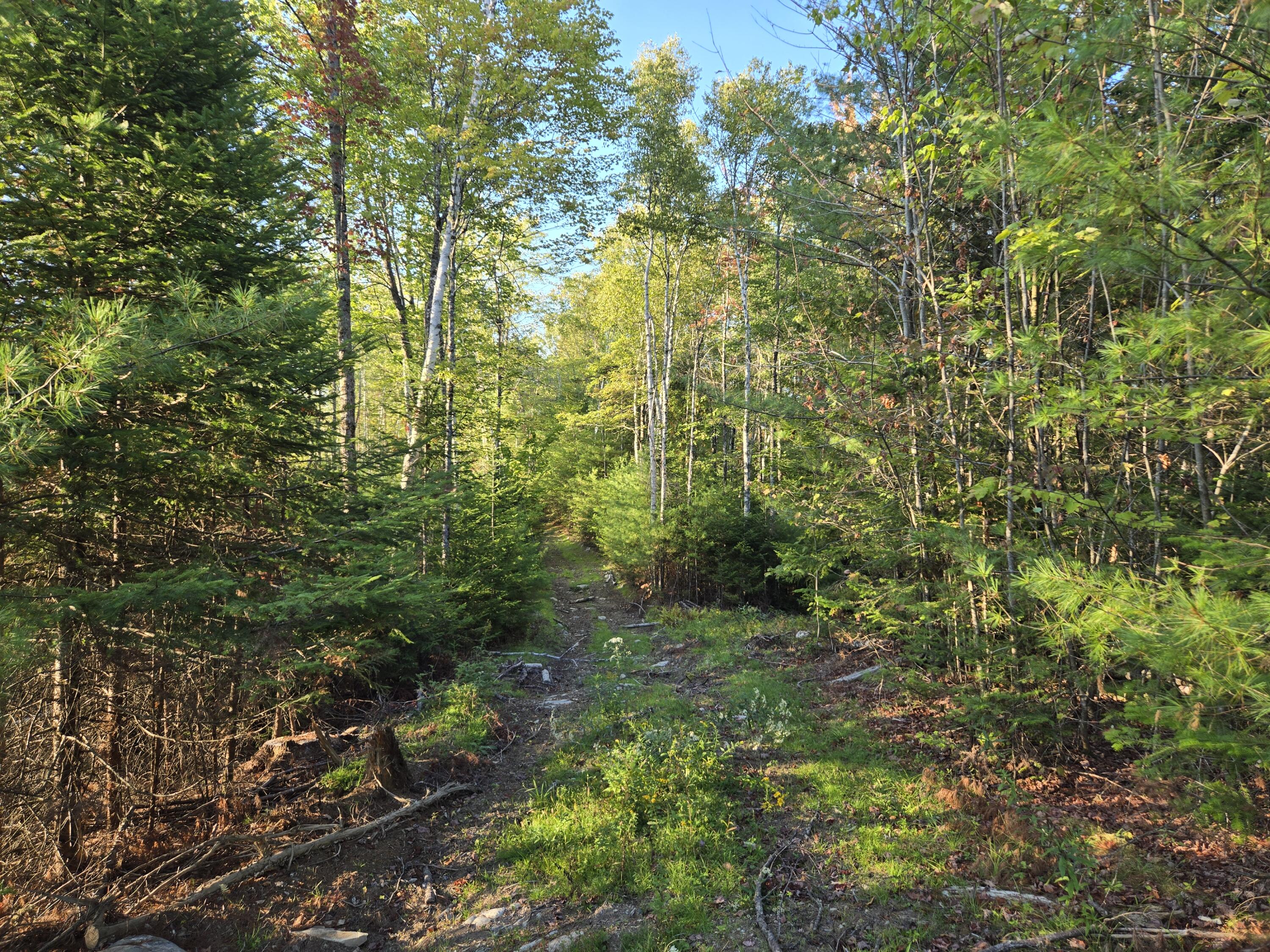 M2-l9-1 M2-l9-1 Solon Road Athens, ME 04912 - Photo 4 of 7 pic 5