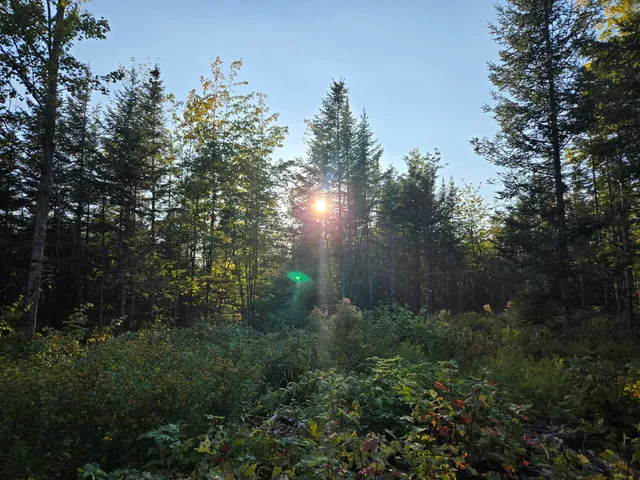 $220,000 | M2-l9-1 M2-l9-1 Solon Road, Athens, ME 04912