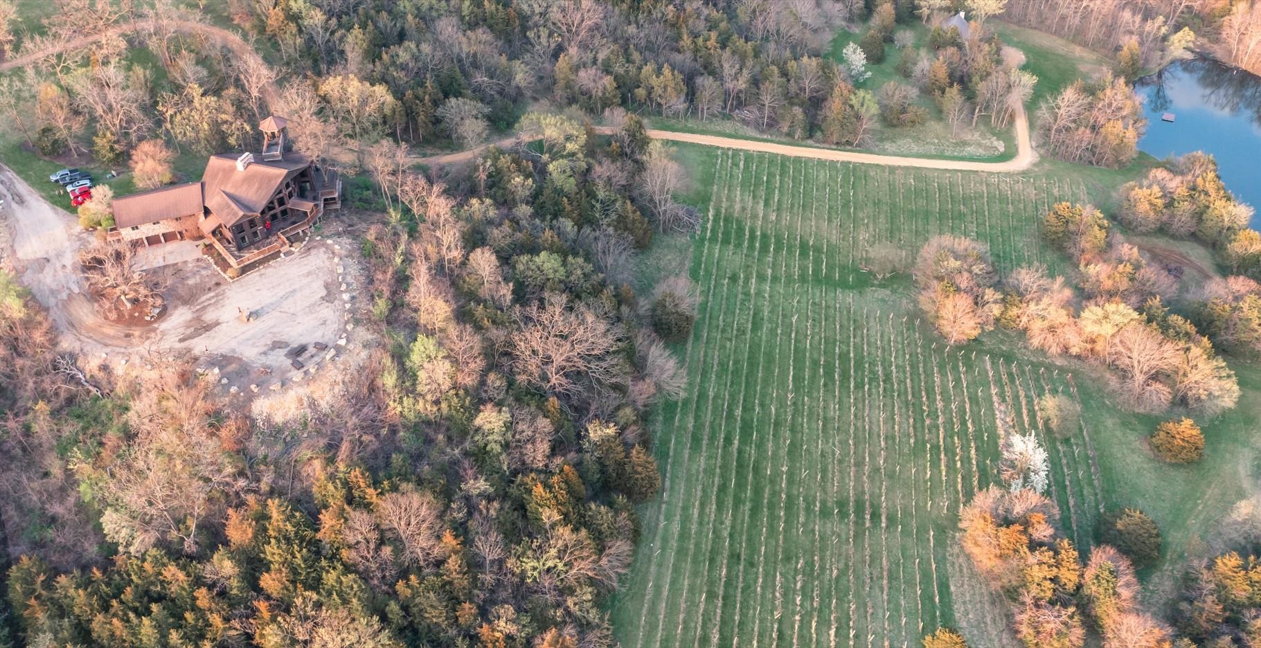 2003 West Hanover Road Hanover, IL 61041 - Photo 55 of 61 a green field with some trees in the background