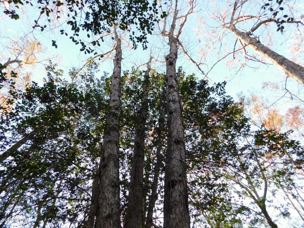 26.89 Bynum Farm Road Pinetops, NC 27864 - Photo 38 of 43 38 (1024x768)
