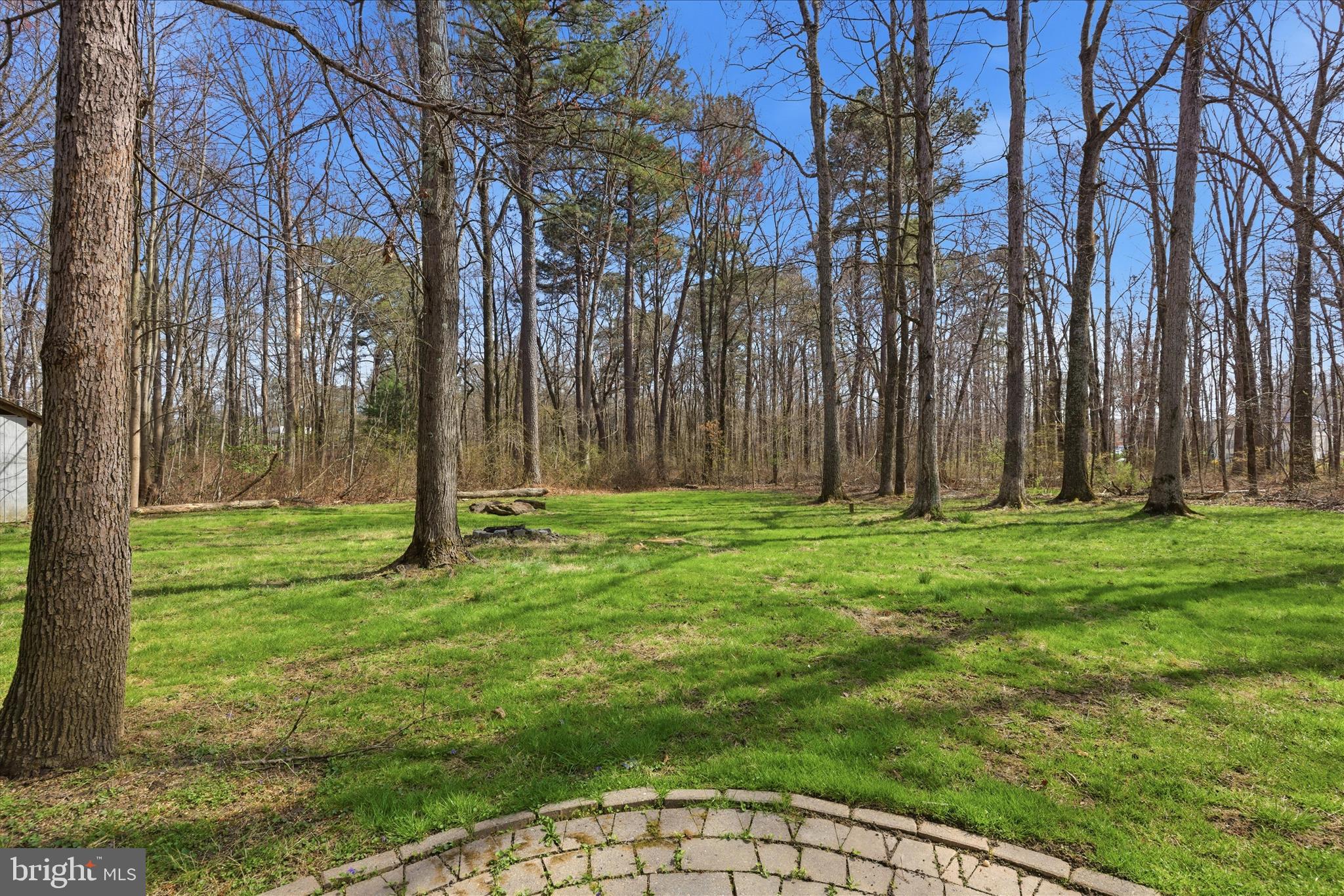 11607 Prospect Hill Road Glenn Dale, MD 20769 - Photo 36 of 41 Backyard
