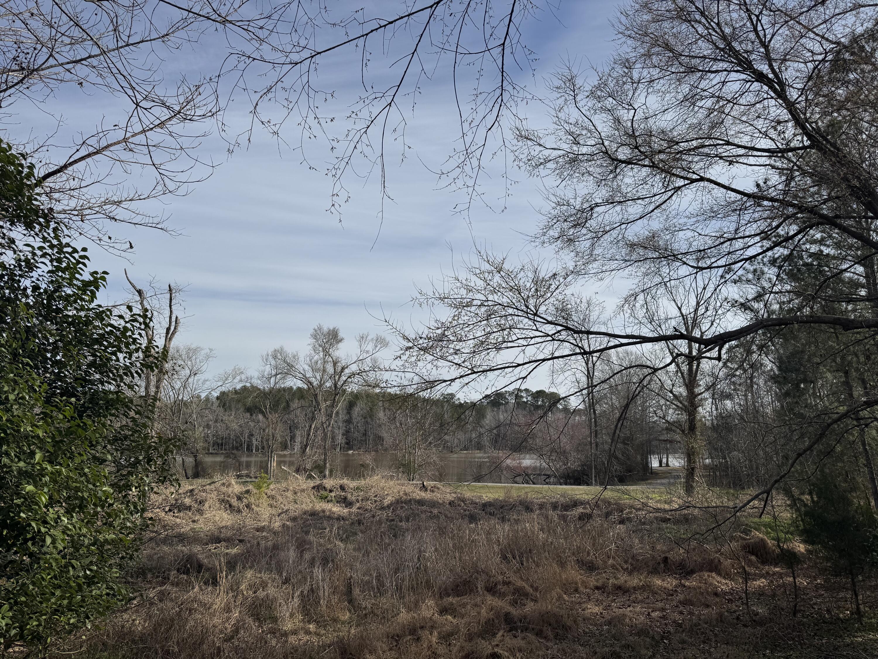 1 Planer Road Edgefield, SC 29824 - Photo 6 of 13