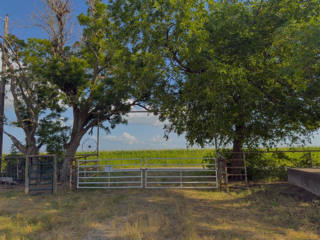 2931 Wall Street Road Howe, TX 75459 - Photo 28 of 38 a view of outdoor space and trees