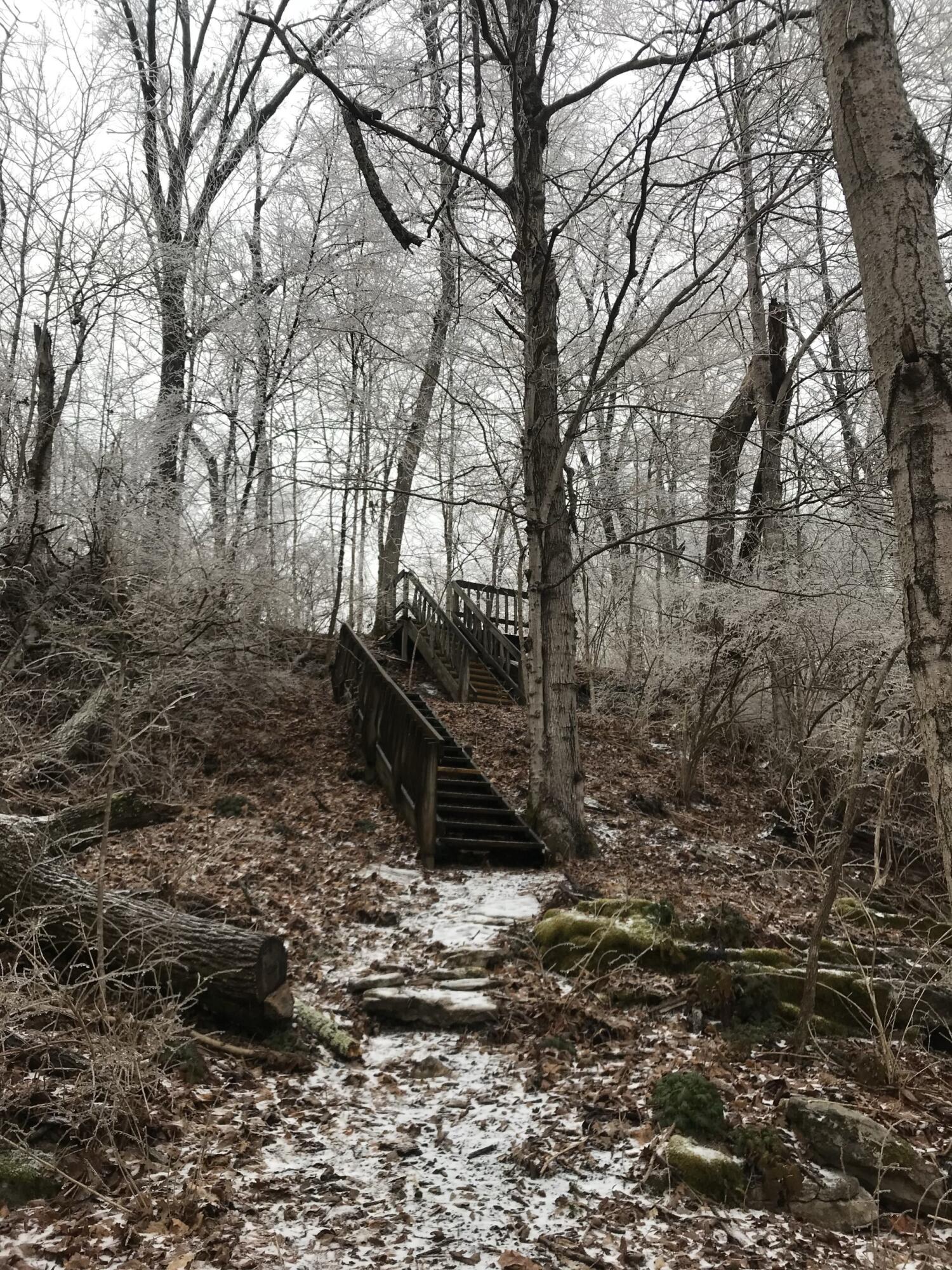2350 High Bridge Road Wilmore, KY 40390 - Photo 82 of 91 stairs