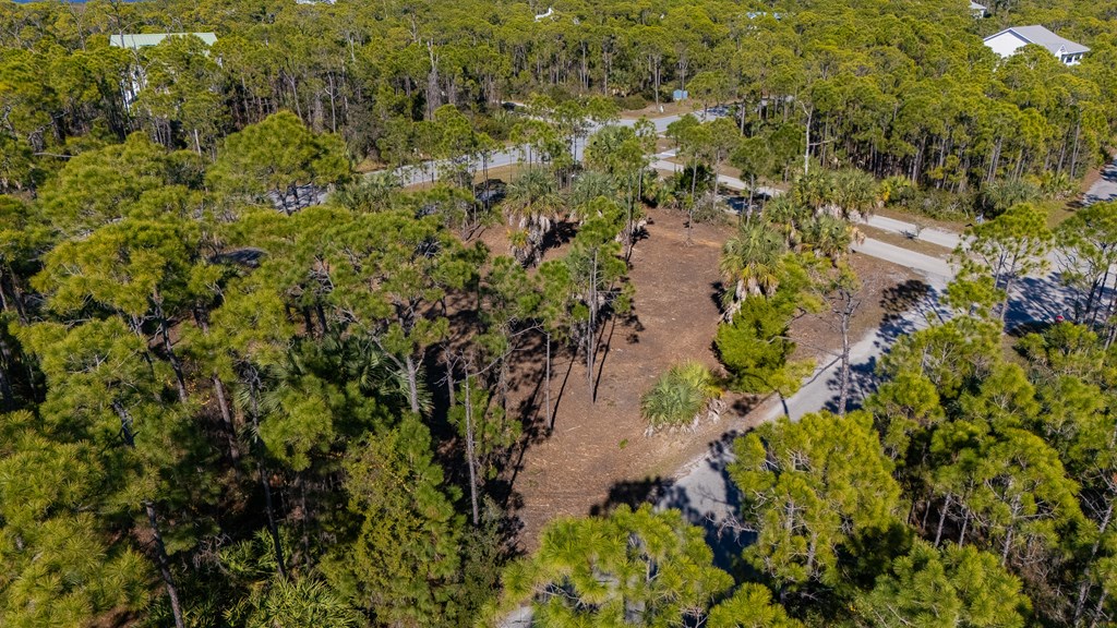 1944 Reed Court West St. George Island, FL 32328 - Photo 10 of 11