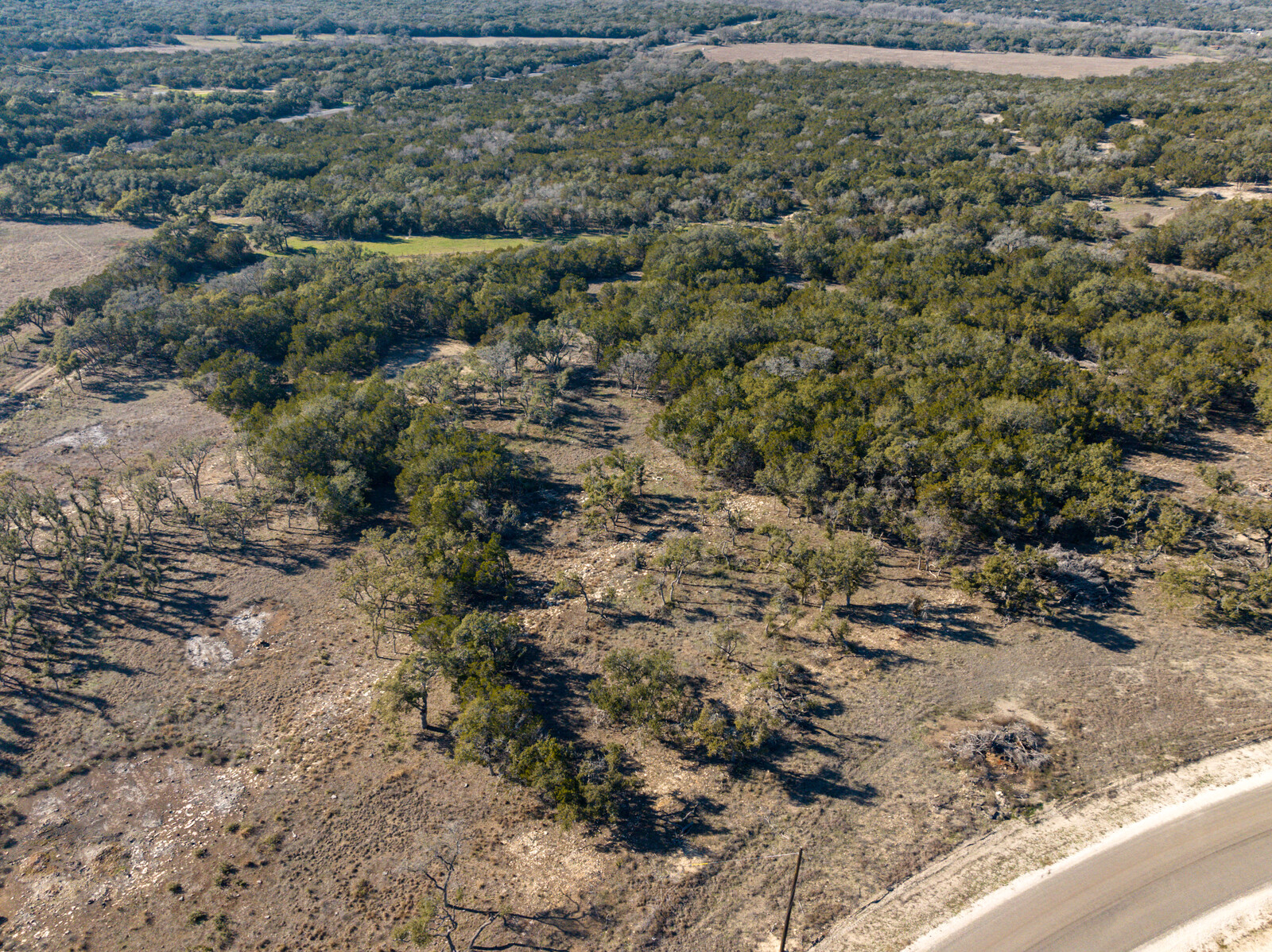 642 Windmill Ridge Drive Blanco, TX 78606 - Photo 12 of 19 a view of a yard with a plants