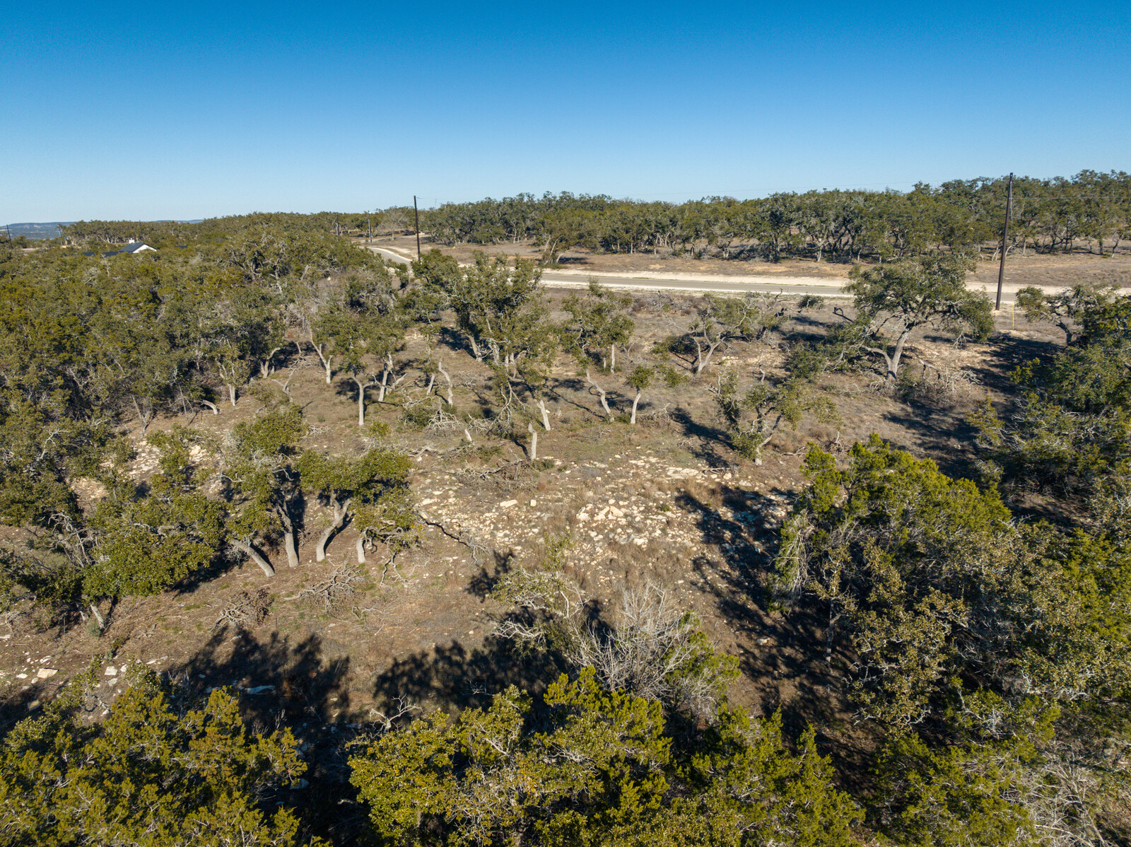 642 Windmill Ridge Drive Blanco, TX 78606 - Photo 14 of 19 a view of a forest