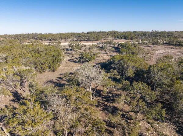 a view of a dry yard with trees