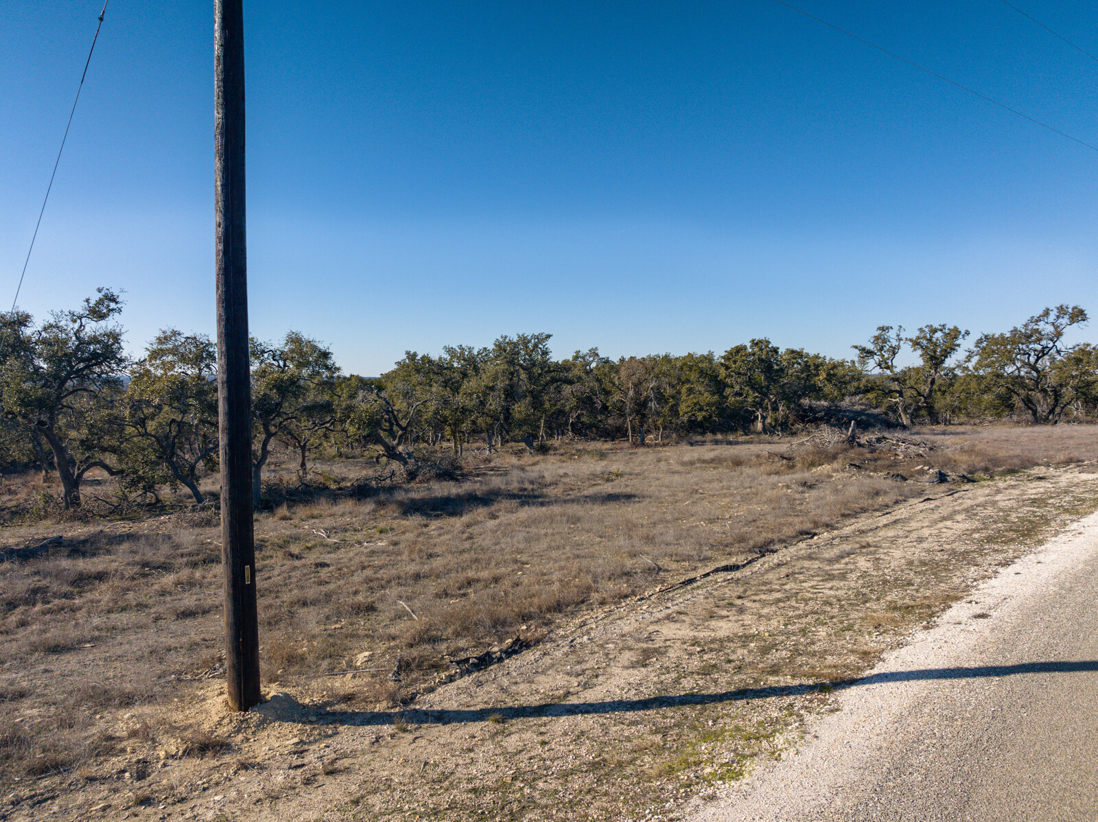 642 Windmill Ridge Drive Blanco, TX 78606 - Photo 18 of 19 a view of a dry yard with trees