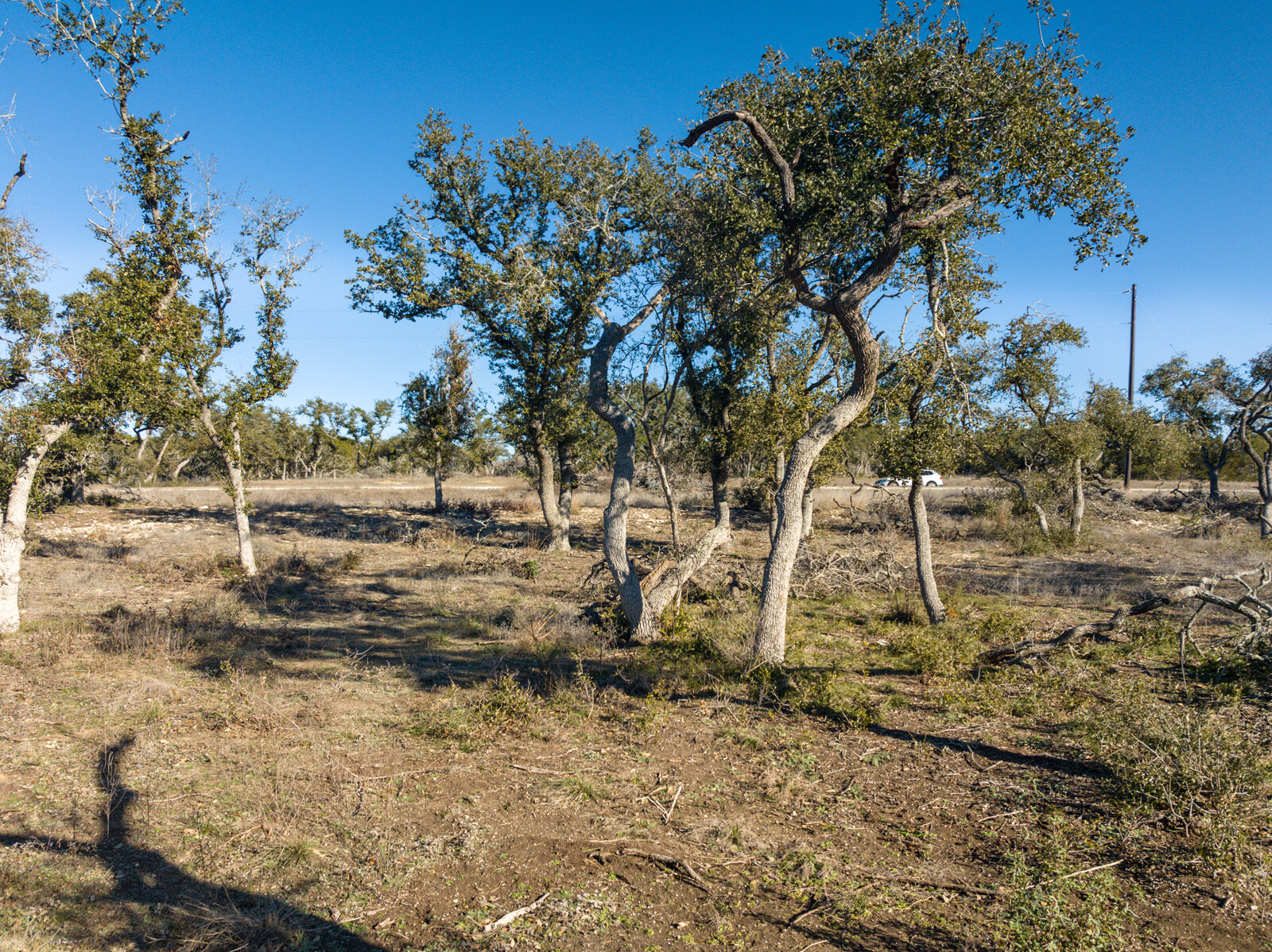 642 Windmill Ridge Drive Blanco, TX 78606 - Photo 19 of 19 a backyard of a house with lots of green space