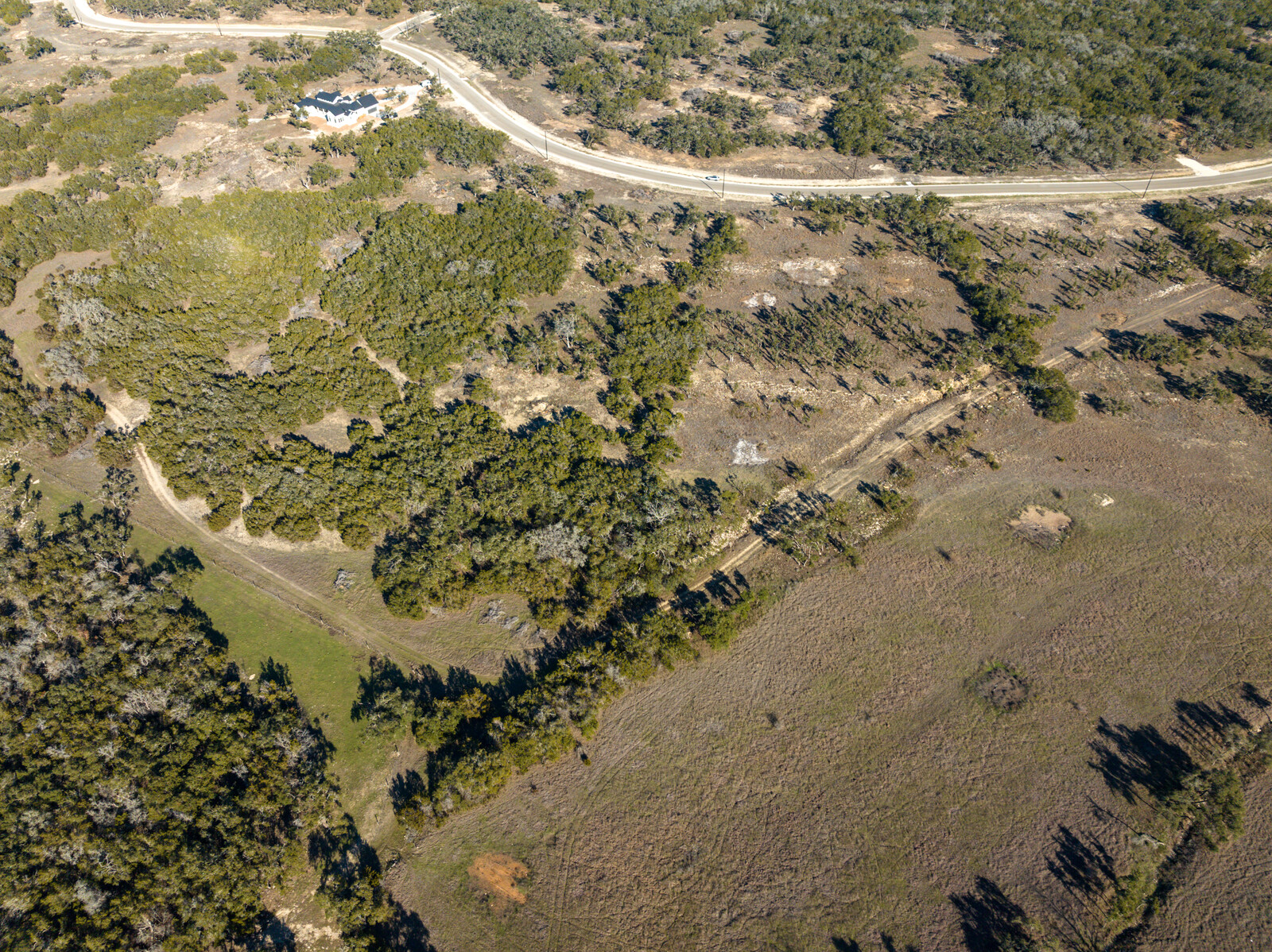 642 Windmill Ridge Drive Blanco, TX 78606 - Photo 8 of 19 a view of a yard