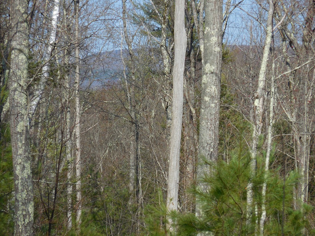 35 Simonds Hill Road Hubbardston, MA 01452 - Photo 6 of 6 Gallery Image 6