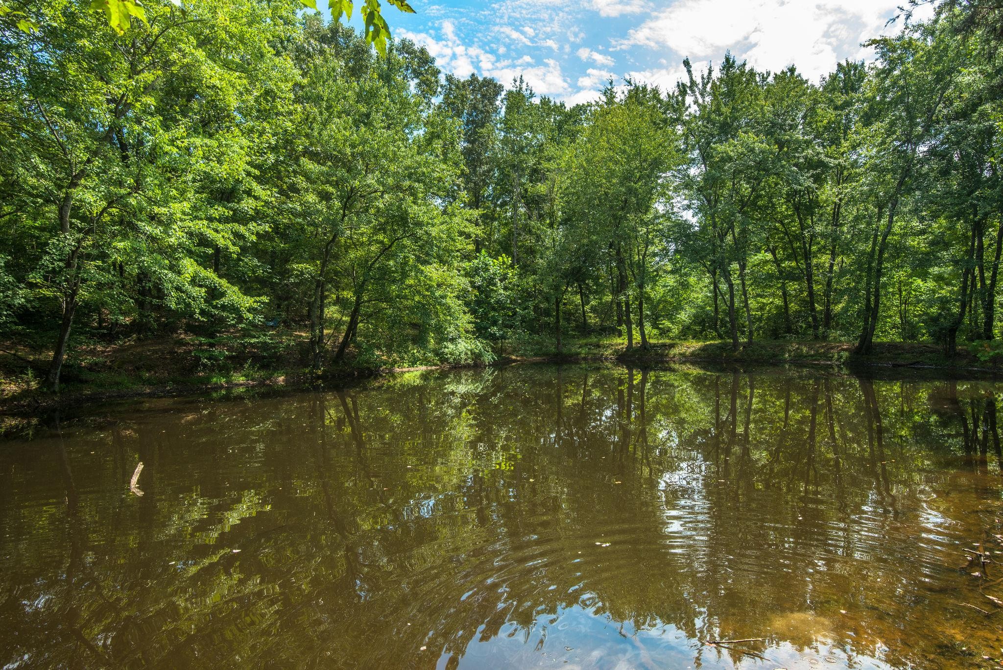 7387 Cavender Branch Road Lyles, TN 37098 - Photo 25 of 28 Gallery Image 25