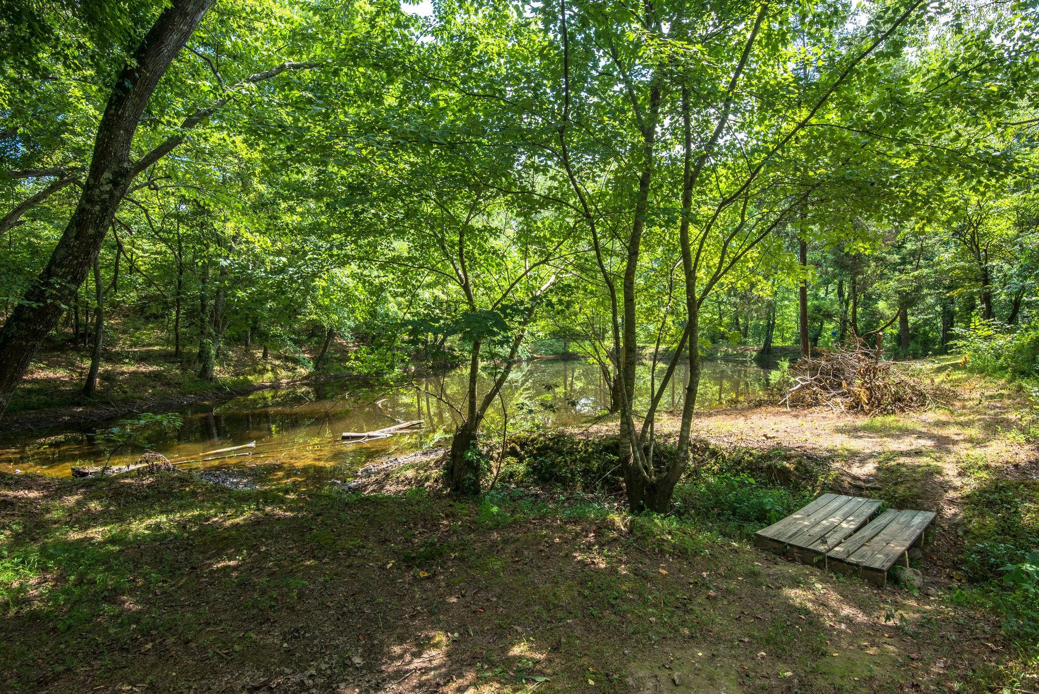 7387 Cavender Branch Road Lyles, TN 37098 - Photo 26 of 28 Gallery Image 26